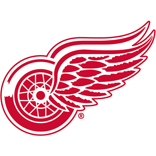 Detroit Red Wings iron ons